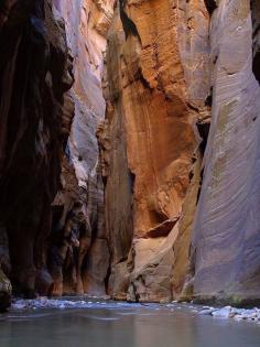 
                        
                            travel enthusiasts share their insider tips and pictures about Zion National Park
                        
                    