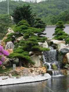 
                        
                            Nan Lian Garden is one of Hong Kong's most magnificent places of interest | 25 Hong Kong Travel Tips
                        
                    