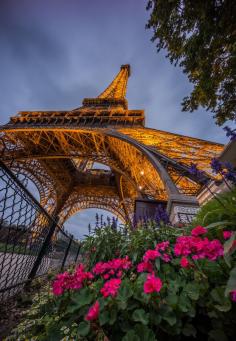 Eiffel in the Summer by Tristan O’Tierney | denlArt