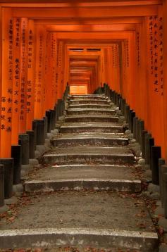 
                        
                            Kyoto - Fushimi Inari
                        
                    