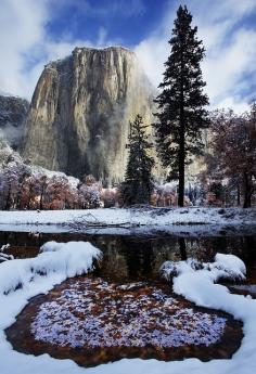 
                        
                            Winter in Yosemite National Park, California, USA
                        
                    