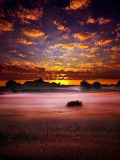 
                        
                            lifeisverybeautiful: meadow sunset in Wisconsin, USA
                        
                    