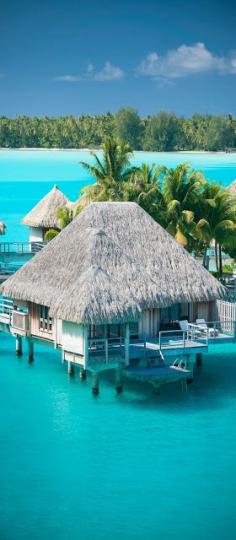 
                        
                            Spectacular Polynesian Paradise | Amazing Snapz | Visit to see more Pictures
                        
                    