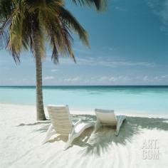 Palm Tree and Beach Chair
