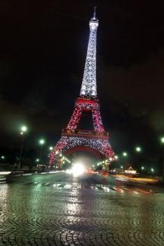 Eiffel Tower     ParisDailyPhoto