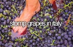 
                        
                            "Stomp grapes in Italy": Ever since that one I Love Lucy episode, I've wanted to do this...
                        
                    