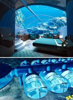 
                        
                            The Poseidon Resort in Fiji. You can sleep on the ocean floor, and you even get a button to feed the fish right outside your window. Now on the bucket list.
                        
                    