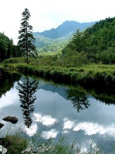 Adirondack Reflection (by dclamster)