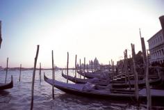 
                        
                            Want to know how to travel green in Venice? Check out our helpful guide! www.walksofitaly.com
                        
                    