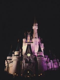 
                        
                            Walt Disney World - Orlando - Florida - USA (von Nathan Congleton)
                        
                    
