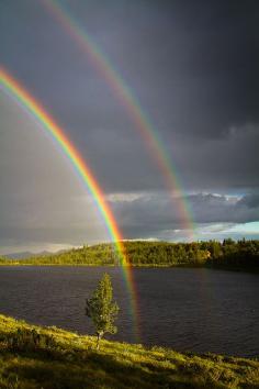 
                        
                            Double Pot of Gold | ©Trond Strømme  (Lake Nedre Djupetjønn, Såtefjell, Buskerud, Norway)
                        
                    