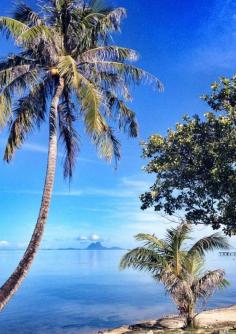 
                        
                            Tahiti, Ra'iatea, French Polynesia
                        
                    