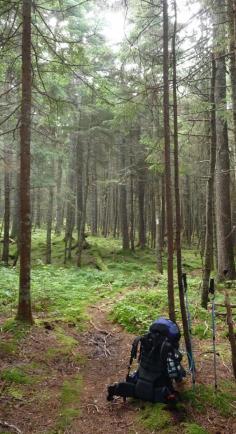 
                        
                            Fundy National Park, New Brunswick, Canada
                        
                    