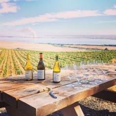 Don't forget that fall is harvest season! Take a romantic fall getaway to a vineyard near you. Photo courtesy of canoeridge on Instagram.