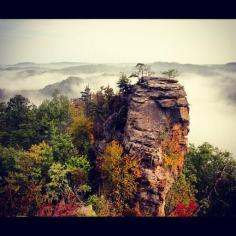 Beautiful fall colors emerging at Red River Gorge in Stanton, Kentucky.