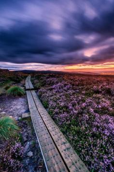 Fairy Castle Walkway, Co. Dublin, Ireland by Paul O'Hanlon