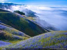 Above Big Sur (Big Sur, California, Places Category)
