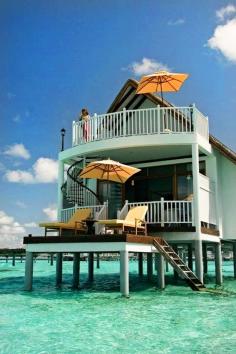 
                        
                            The Amazing Maldive Islands Part III(10 Pics) | See More Pictures | #SeeMorePictures
                        
                    