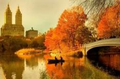 Bow Bridge Central Park