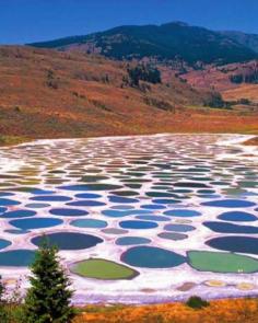 
                        
                            Mysterious Spotted Lake, British Columbia, Canada.
                        
                    