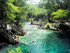 North America’s 7 Best (and Secret) Swimming Holes  Lafayette Blue Springs State Park - Florida, USA