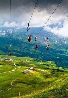 
                        
                            Ziplining in Grindalwald, Switzerland
                        
                    