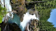 Silver Falls Trail Lewis County, Washington