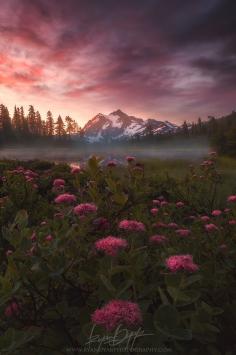 
                        
                            Elemental, Mt Shuksan, Washington, United States. - by Ryan Dyar.
                        
                    