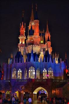 Cinderella's Castle!