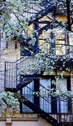 Flowers, balcony in Greenwich Village, New York, United States.