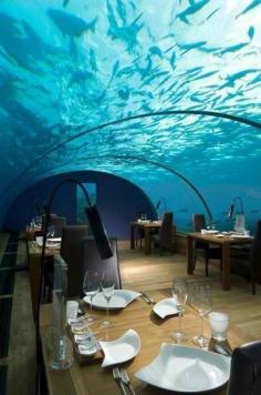 Underwater Restaurant, The Maldives Islands
