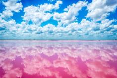 Las Coloradas, Yucatan, Mexico — by Sergio Camalich. I still can't believe there are places like this in the world. #travel #mexico