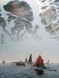 Kayaking With Killer Whales