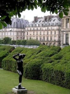 
                        
                            awesomel Le jardin des Tuileries, Paris
                        
                    