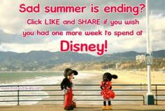 A Disney SUMMER!!!