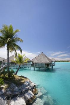 
                        
                            Spectacular Polynesian Paradise | Amazing Snapz | Visit to see more Pictures
                        
                    