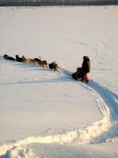 Bettles, Bettles, Alaska - Just above the arctic circle