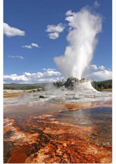 Geyser, Yellowstone Park, Wyoming, United States.