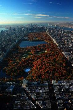 New York. Autumn.