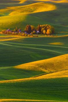 
                        
                            At The Base Of The Valley - Steptoe Butte State Park, Washington
                        
                    
