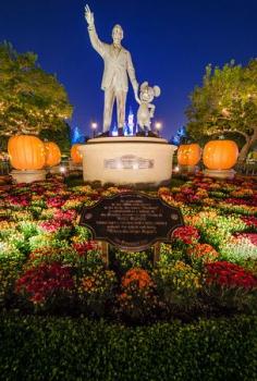 
                        
                            Disneyland Halloween Photos by Tom Bricker
                        
                    