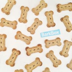 cute doggy treats from Barkbox