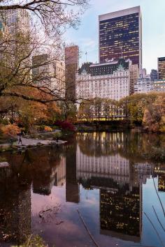 
                        
                            Central Park in the fall
                        
                    