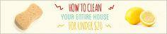 
                        
                            How To Clean Your Entire House For Under $20
                        
                    