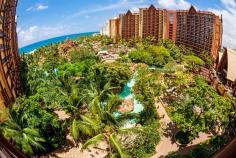 
                        
                            Is Disney's Aulani worth it for you...? This article should help you answer that question.
                        
                    