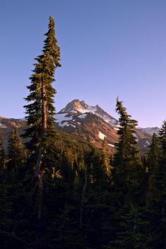 mikescofield: “ Mount Jefferson - Oregon ”