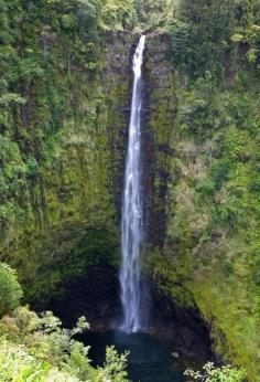
                        
                            Akaka Falls State Park, Big Island, Hawaii -
                        
                    