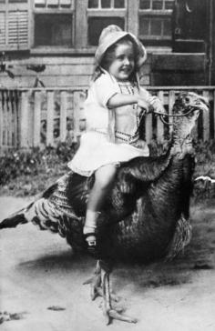
                        
                            Riding a turkey >> Now if anyone can pull off this photo for Thanksgiving I will be seriously impressed! hahahaha! #PinUpLive
                        
                    