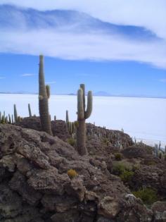 
                        
                            Salar de Uyuni, Potosí, Bolivia
                        
                    