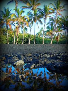 
                        
                            Black Sand at Punaluu Beach on the Big Island of Hawaii
                        
                    